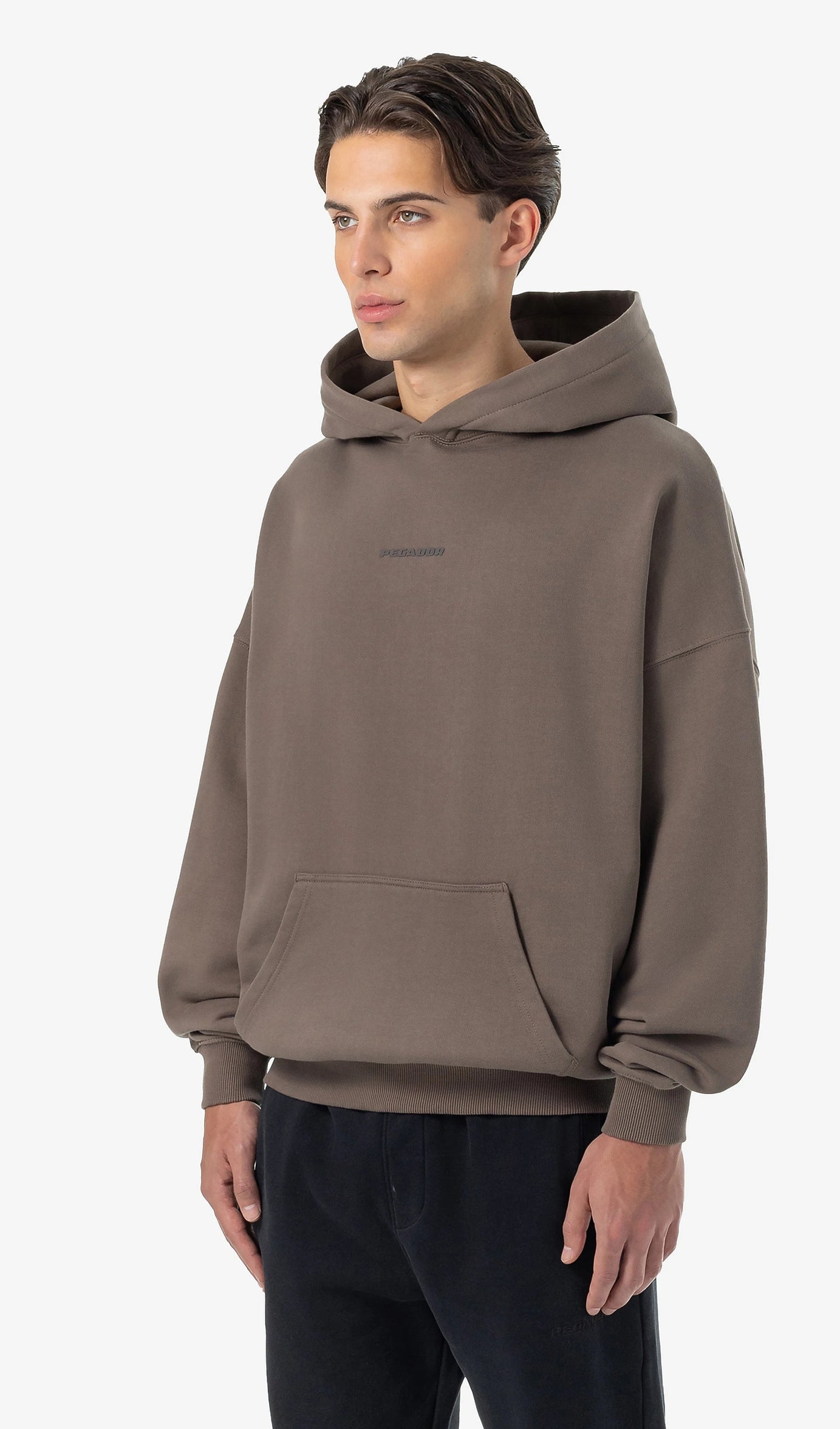 Logo Boxy Hoodie Washed Dust Brown Gum