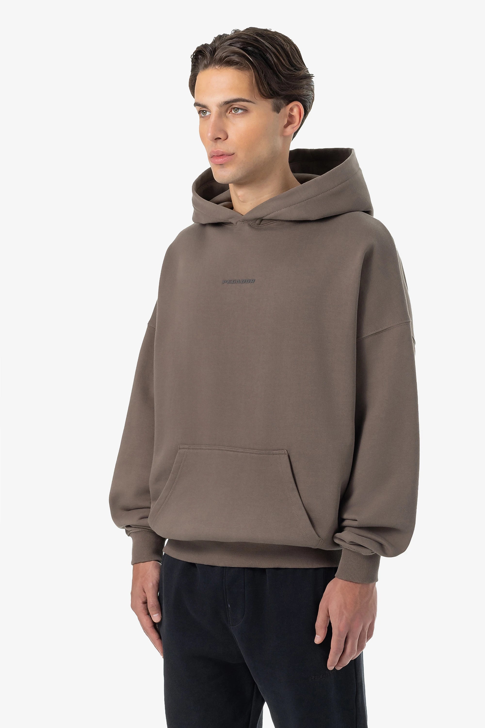 Logo Boxy Hoodie Washed Dust Brown Gum
