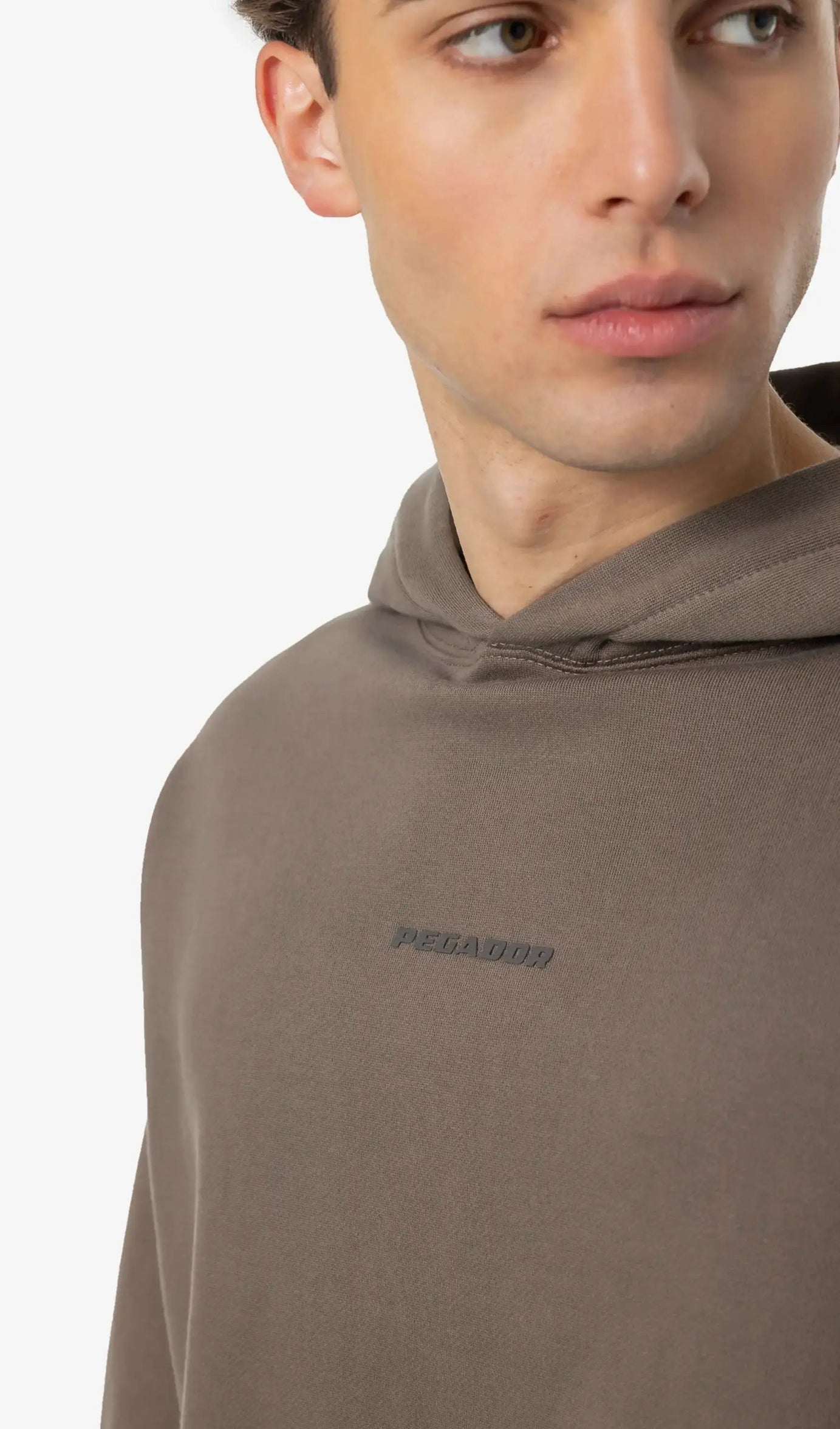 Logo Boxy Hoodie Washed Dust Brown Gum