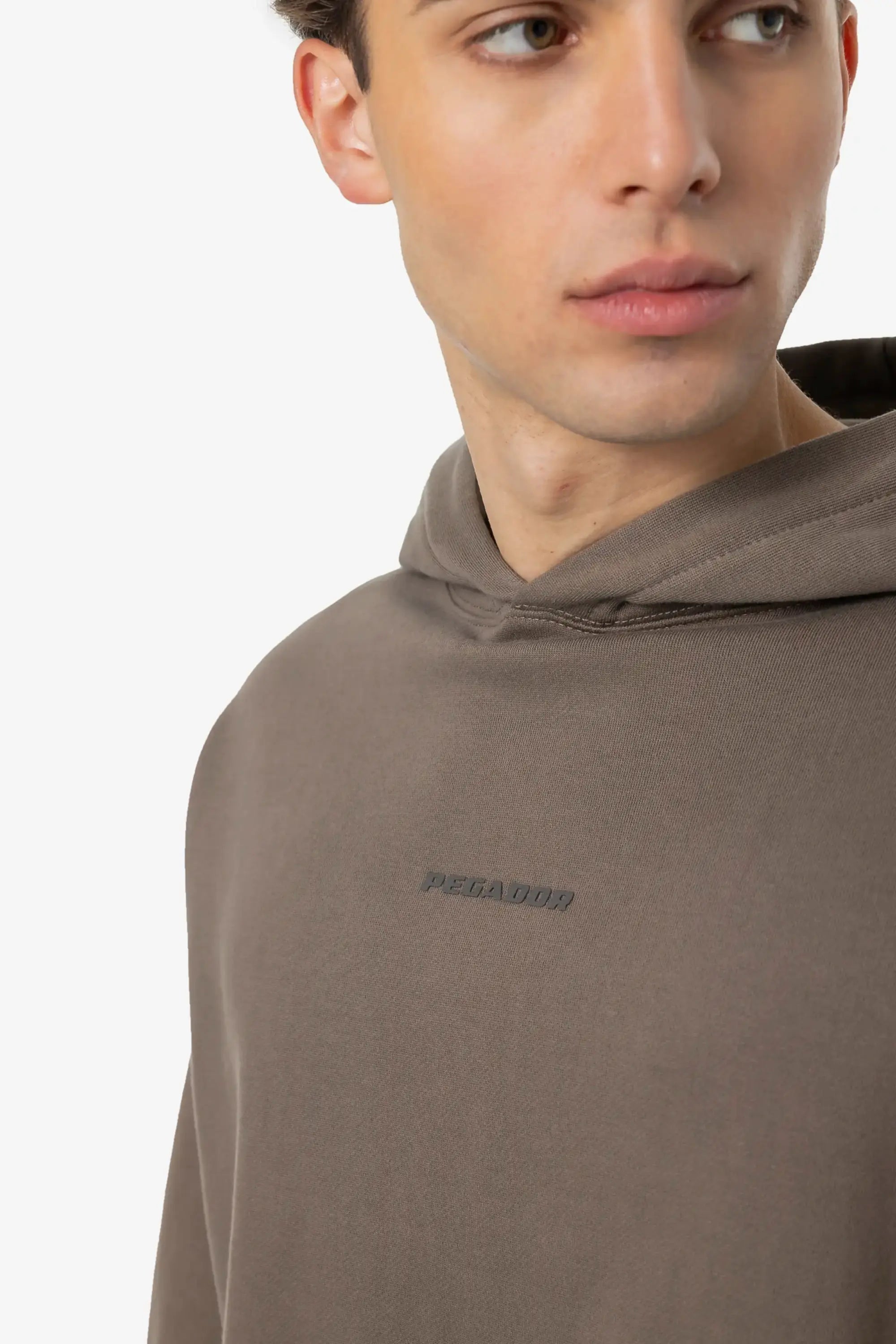 Logo Boxy Hoodie Washed Dust Brown Gum