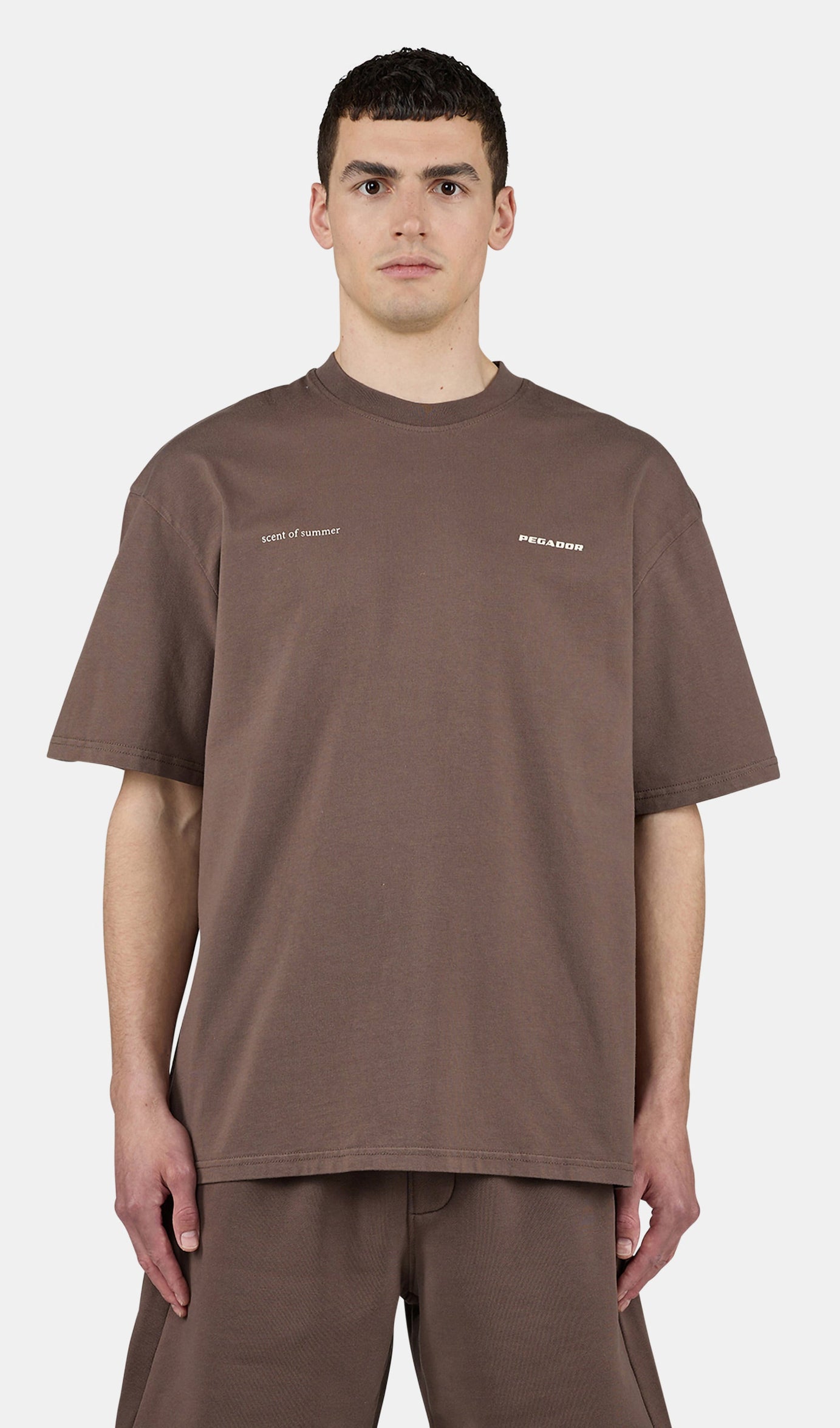 Sentinal Oversized Tee Washed Cozy Brown