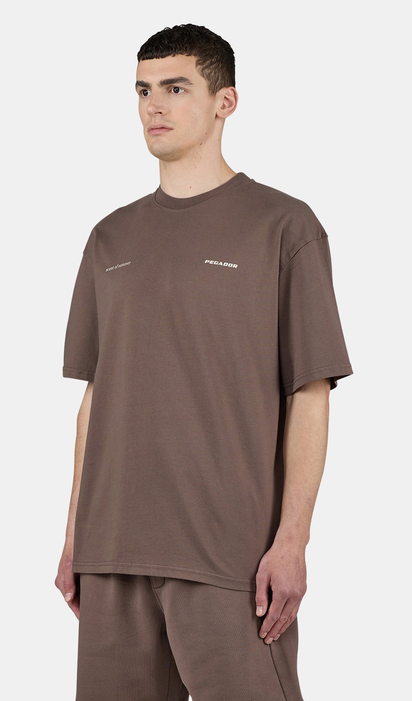 Sentinal Oversized Tee Washed Cozy Brown