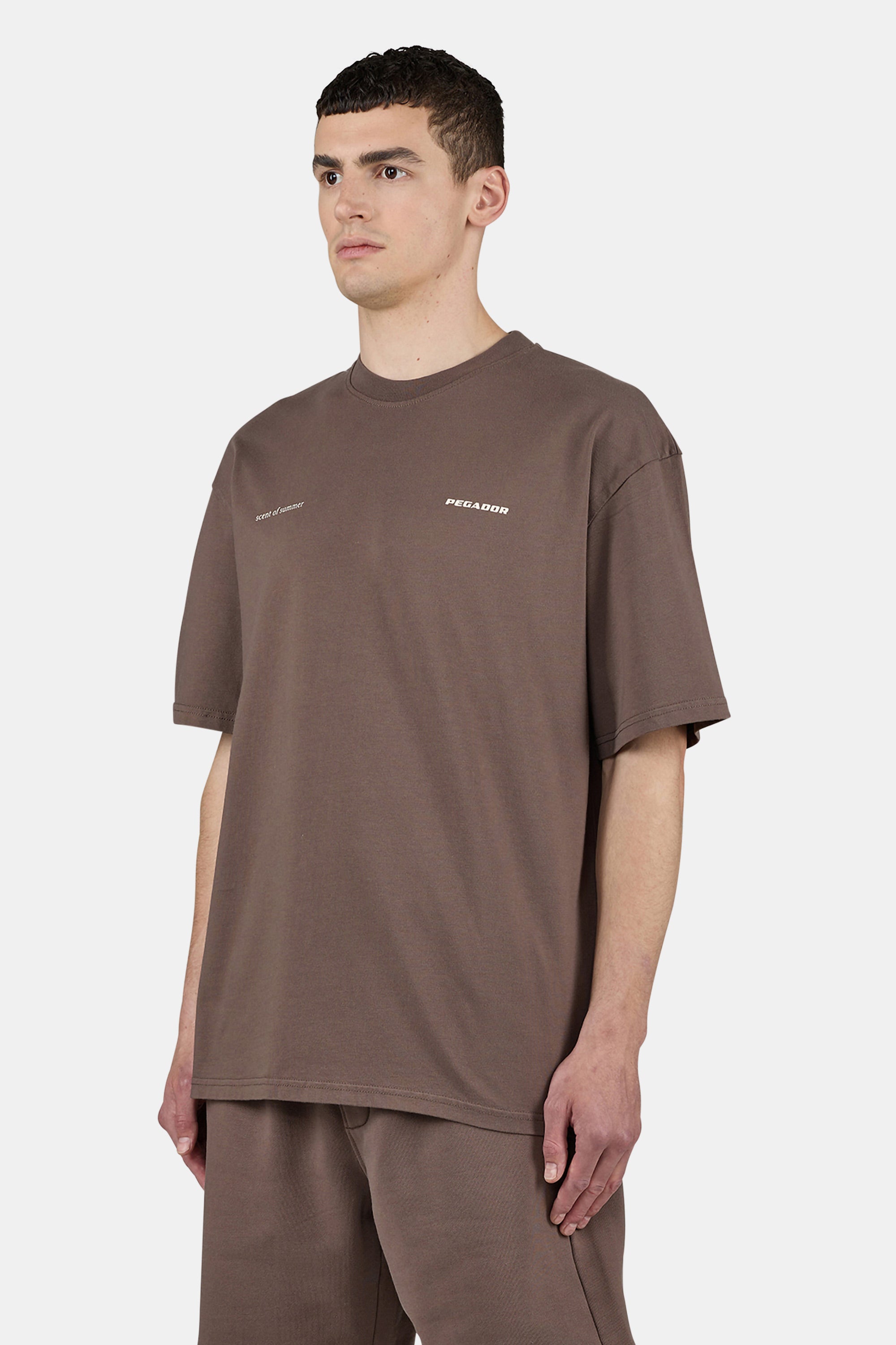 Sentinal Oversized Tee Washed Cozy Brown