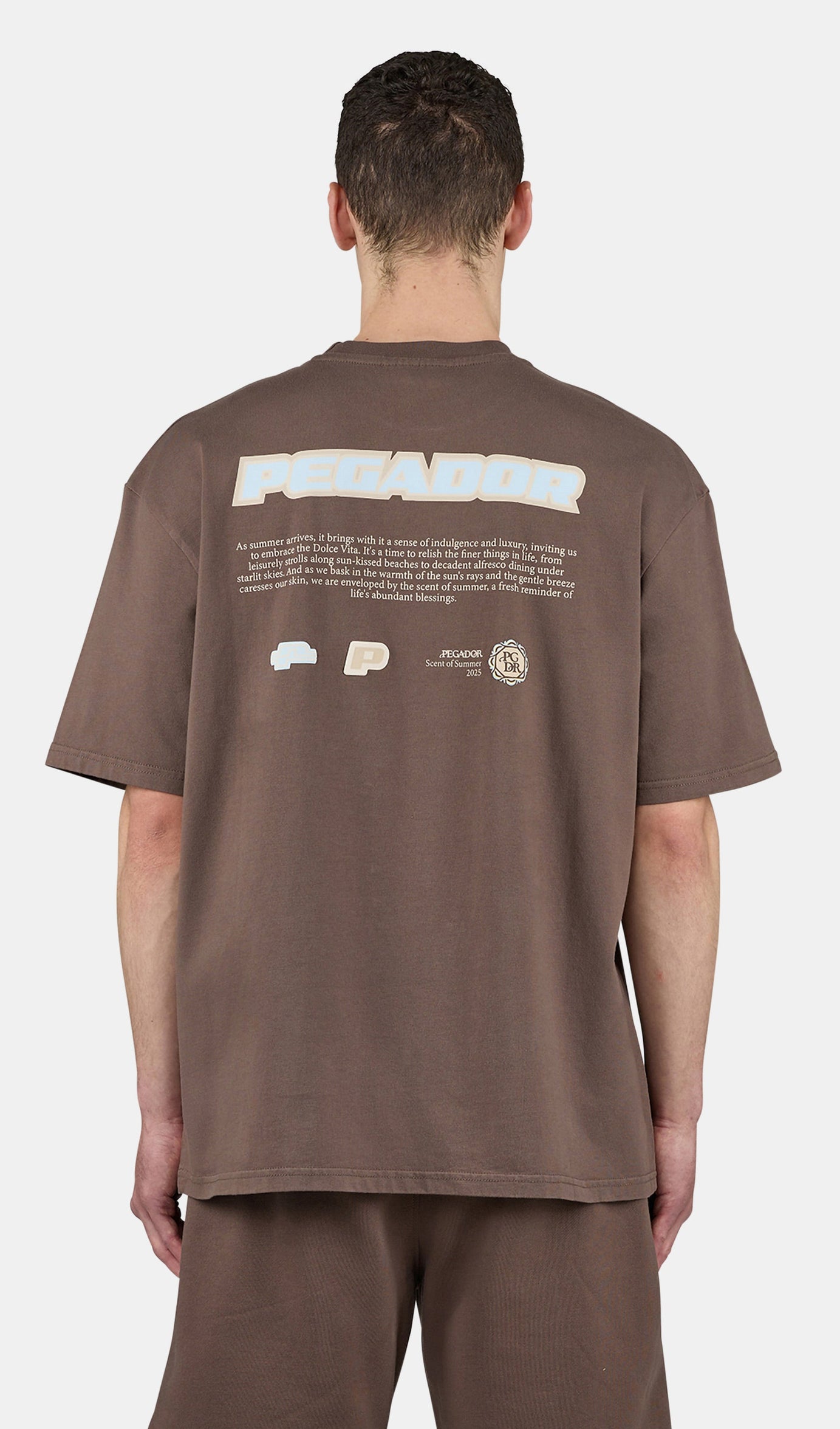 Sentinal Oversized Tee Washed Cozy Brown