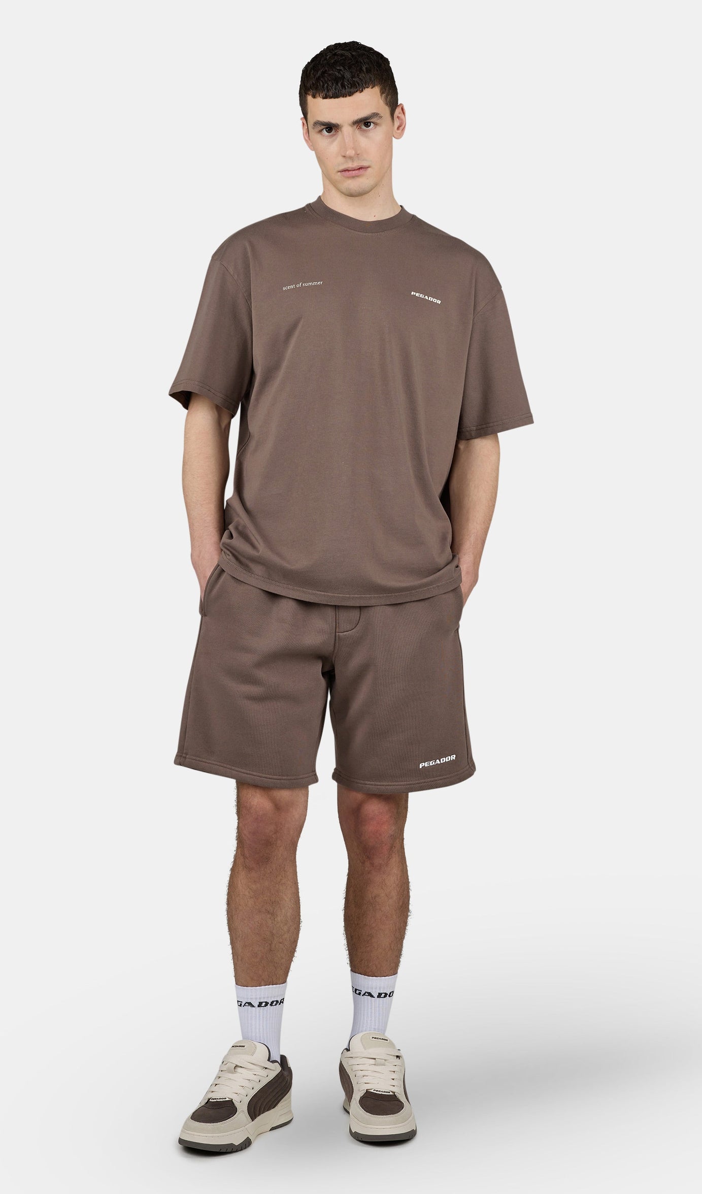 Sentinal Oversized Tee Washed Cozy Brown