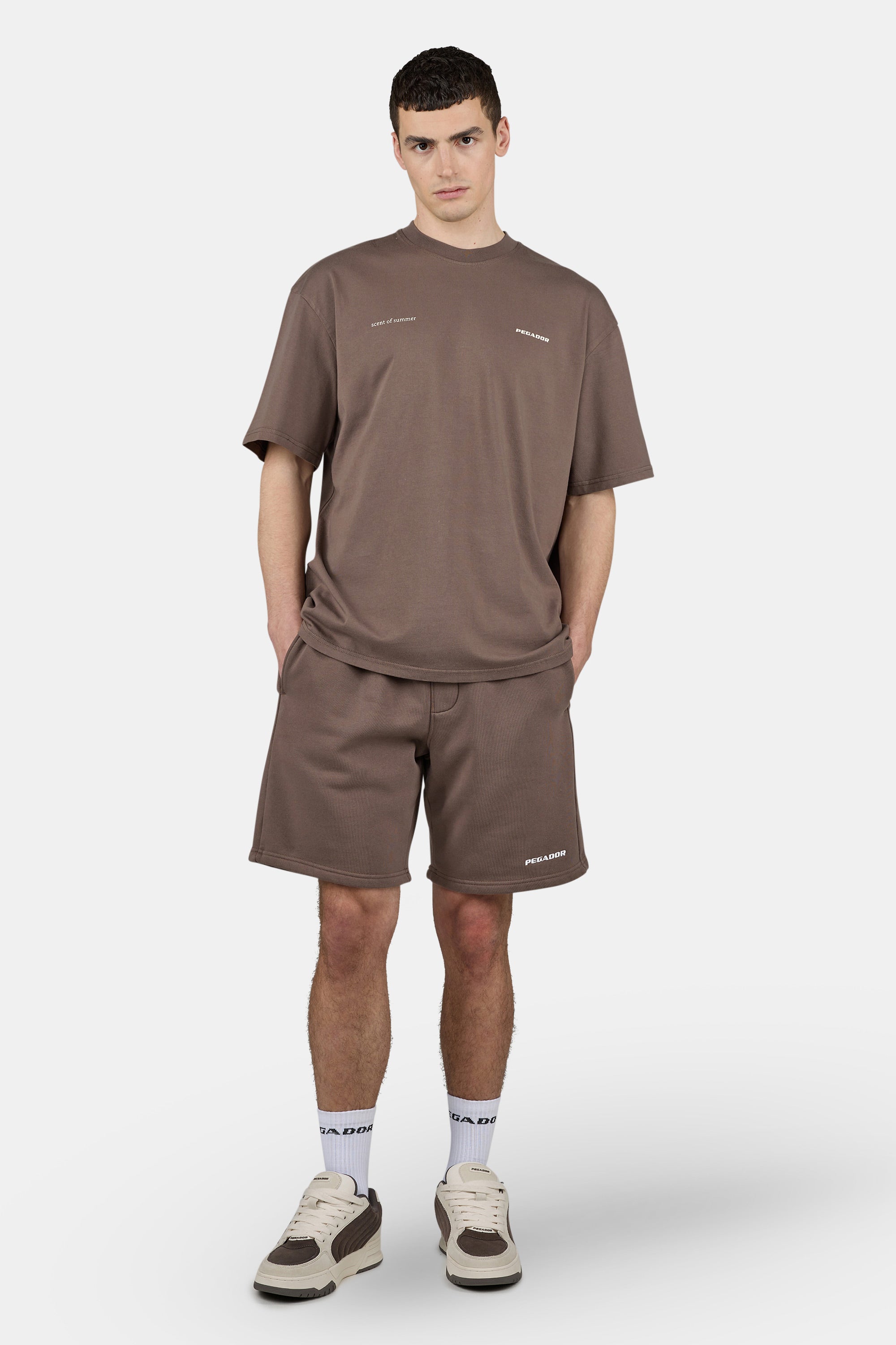 Sentinal Oversized Tee Washed Cozy Brown
