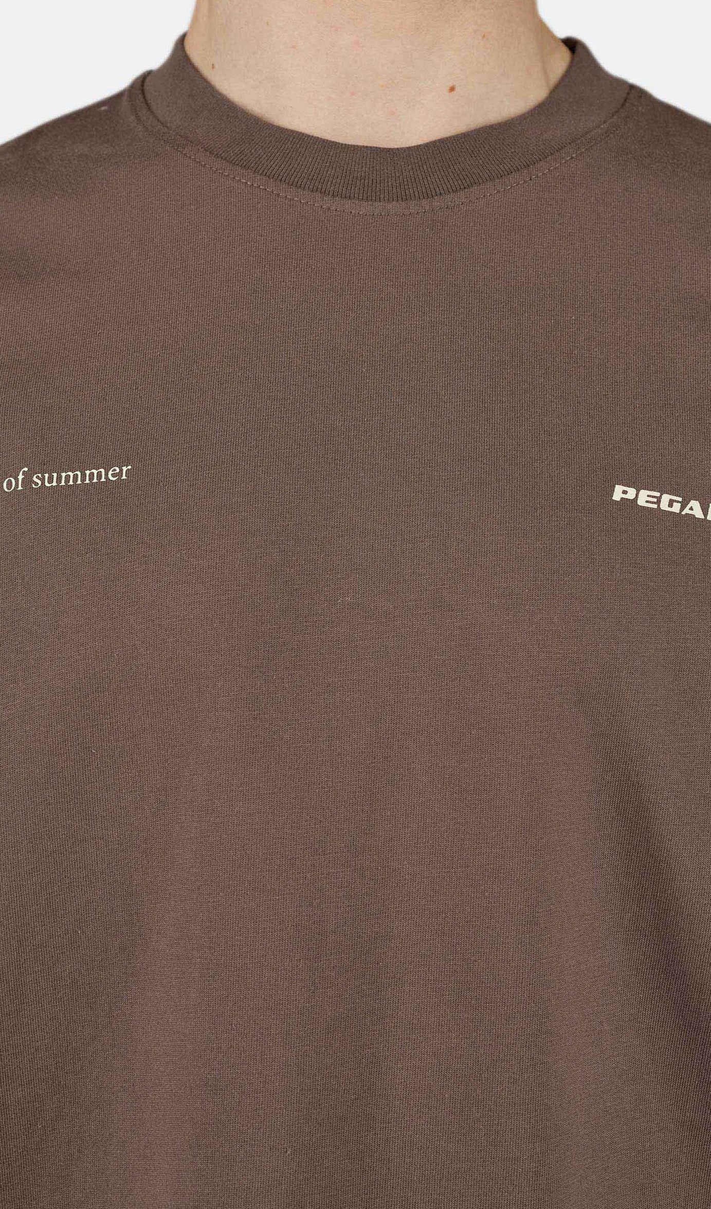 Sentinal Oversized Tee Washed Cozy Brown