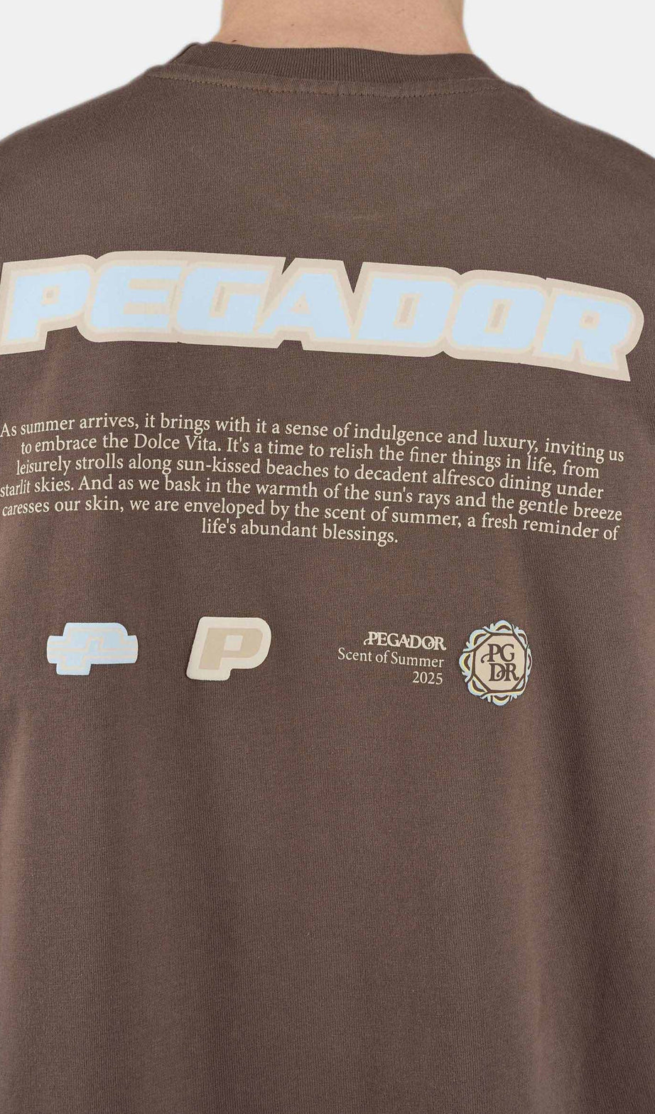 Sentinal Oversized Tee Washed Cozy Brown