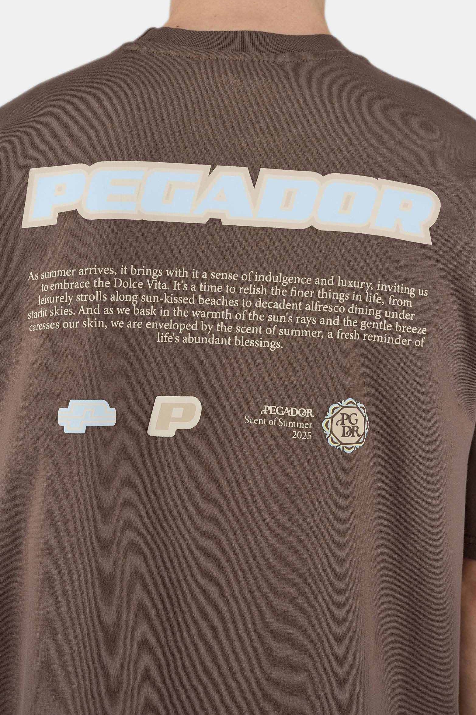 Sentinal Oversized Tee Washed Cozy Brown