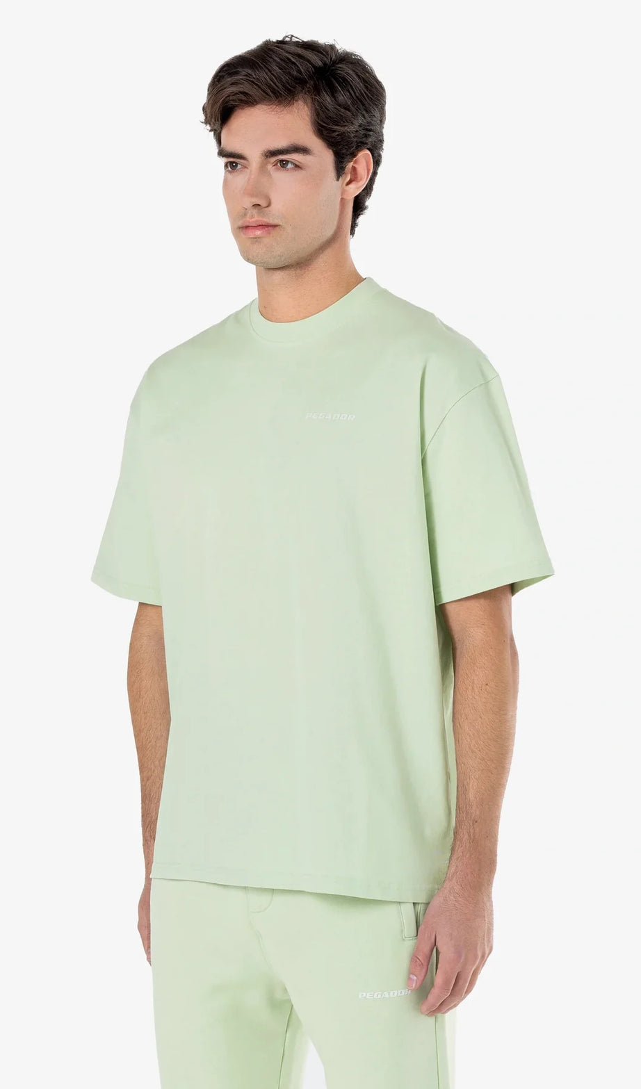 Logo Oversized Tee Washed Matcha Green Gum