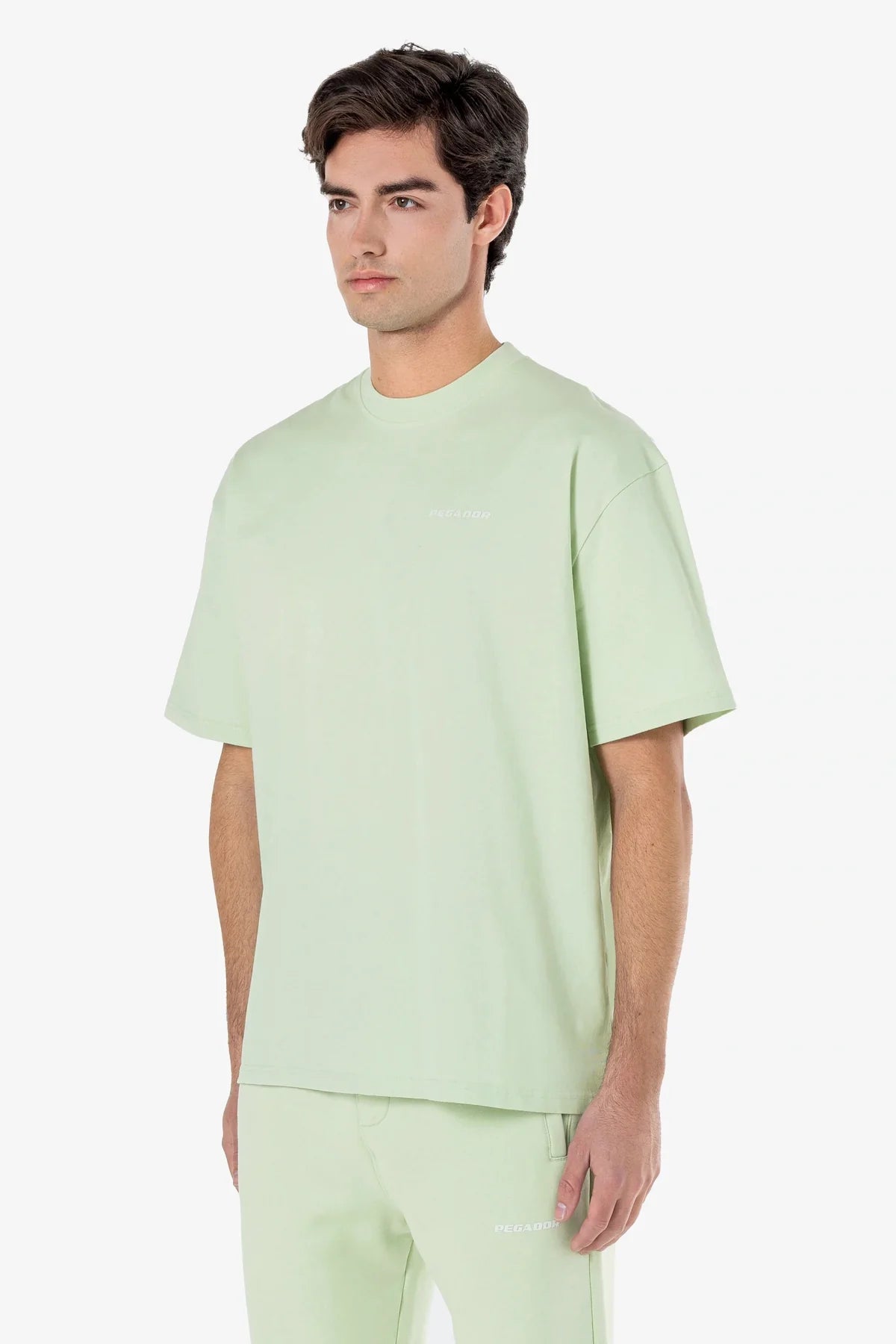 Logo Oversized Tee Washed Matcha Green Gum