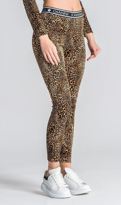 Leopard Leggings - Drakkar shop