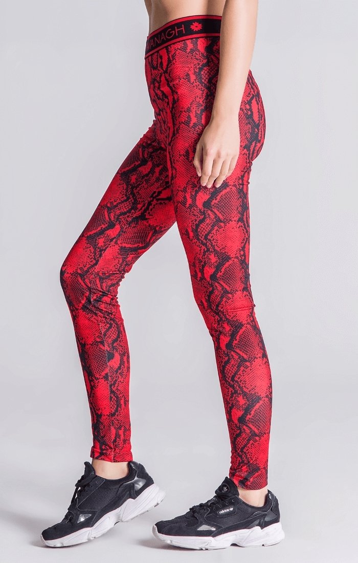 Snake Print Leggings - Drakkar shop